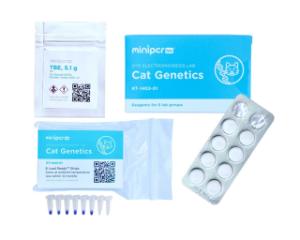 MINIPCR cat genetics lab