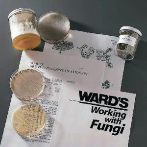 Ward's® Fungi Identification Set