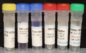 miniPCR® Mushroom ID Project: Fungal DNA Barcoding Kits