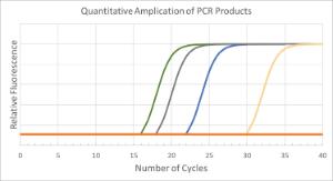 Principles of quantitative PCR