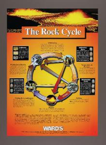 WARD’S Rock Cycle Poster