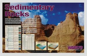 Ward's® Sedimentary Rocks Poster