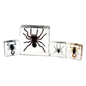 Scorpion and spider set of 4