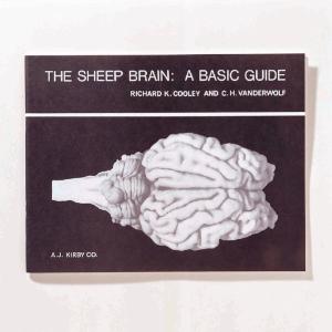 The Sheep Brain, A Basic Guide