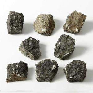 Ward's Science Essentials® Pyroxenite