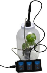 Photosynthesis and respiration chamber demonstration