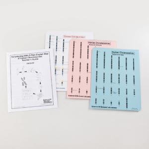 Karyotyping with Plain English Map of Human Chromosomes Kit