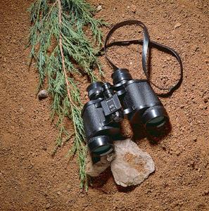 Bushnell Insta-Focus™ Wide-Angle Binoculars, 7X35