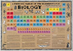 Periodic Table of the Elements for Biology