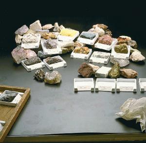 Ward's® University Systematic Mineral Collection