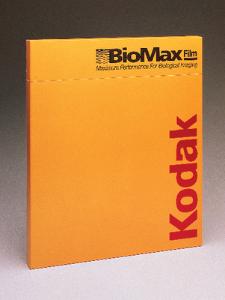KODAK® BioMax® Maximum Sensitivity (MS) Autoradiography Film, Intensifying Screens, Carestream Health