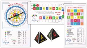 Classroom Molecular Biology Toys and Games
