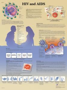 3B Scientific® HIV And AIDS Chart