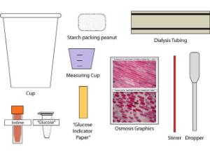 Science Take-Out® Cell Membranes: Diffusion And Osmosis