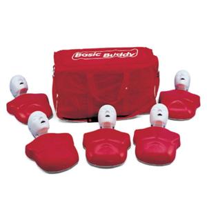 Basic Buddy® Budget CPR Torsos