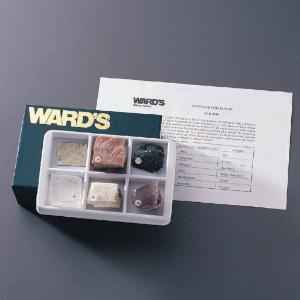 Ward's® Cleavage Collection
