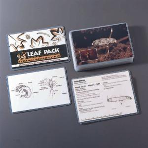 Leaf Pack Macroinvertebrate Flash Cards