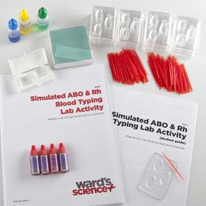 Simulated ABO and Rh Blood Typing Lab Activity