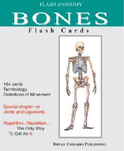 Bones Flash Cards