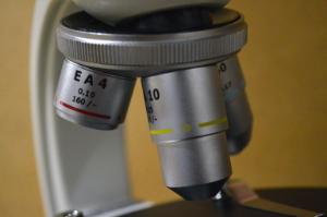 Microscope, Polarizing, Boreal Science