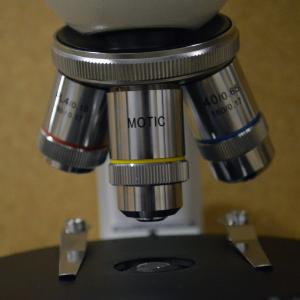 Microscope, Adv. Polarizing