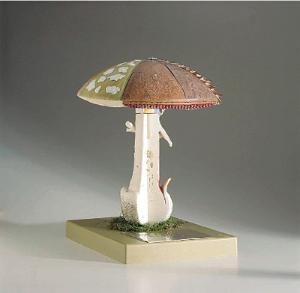 Somso® Mushroom Model