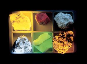 Ward's® Basic Longwave Fluorescent Mineral Collection