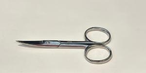 Scissors surgical