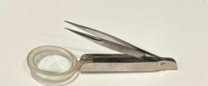 Forceps magnifying glass