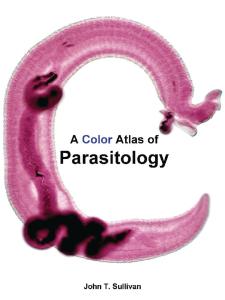 Color Atlas Of Parasitology Media Bundle