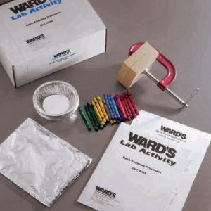 Ward's® Rock-Forming Processes Lab Activity