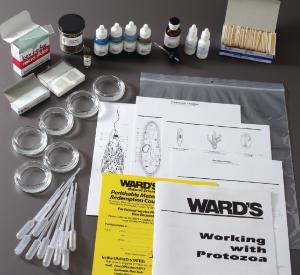 Ward's® Experiences with Protists Lab Activity