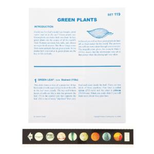 Green Plants Microslide