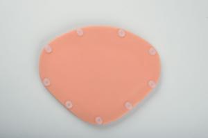 Replacement C-Section Insert