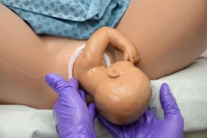 Real Mom-Vaginal Birthing Simulator