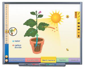 NewPath PHOTOSYNTHESIS Interactive Whiteboard Digital Download