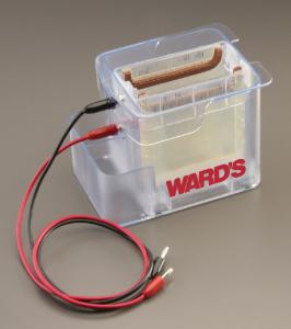 Ward's® Vertical Dual Electrophoresis Tank