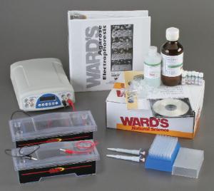 Ward's® Deluxe DNA Electrophoresis System II