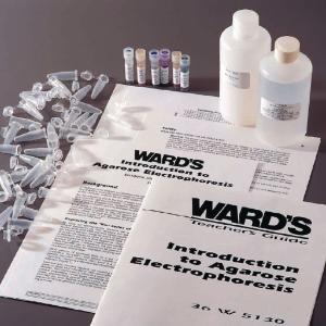 Ward's® Introduction to Agarose Gel Electrophoresis Lab Activity