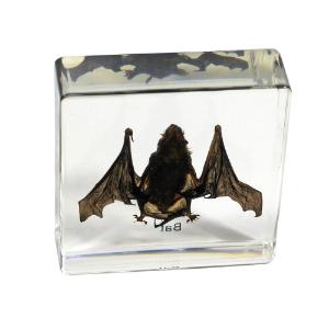 Small bat plastomount
