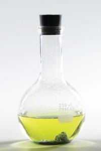 Ward's® Chemistry Reduction of Vanadium Demonstration