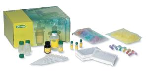 Bio-Rad® ELISA Immuno Explorer™ Kit
