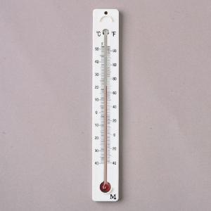 Plastic Back Thermometers