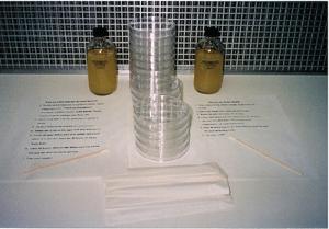 Bacteria Experiment Kit