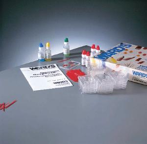 Ward's® Immune Response: Antigen/Antibody Reactions Kit