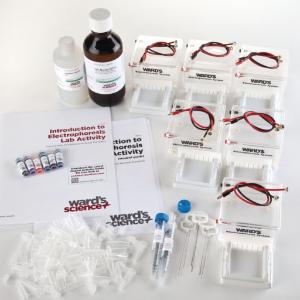 Ward's® Introduction to Electrophoresis Lab System Set