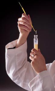 Ward's® DNA Extraction of Wheat Germ Lab Activity