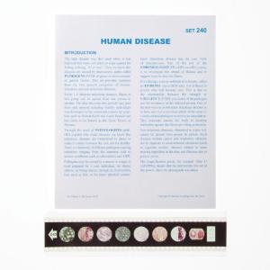 Human Diseases Microslides