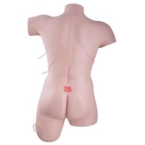 3B Scientific® Wound Care and Bandaging Trainer