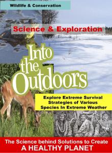 Video species in extreme weather